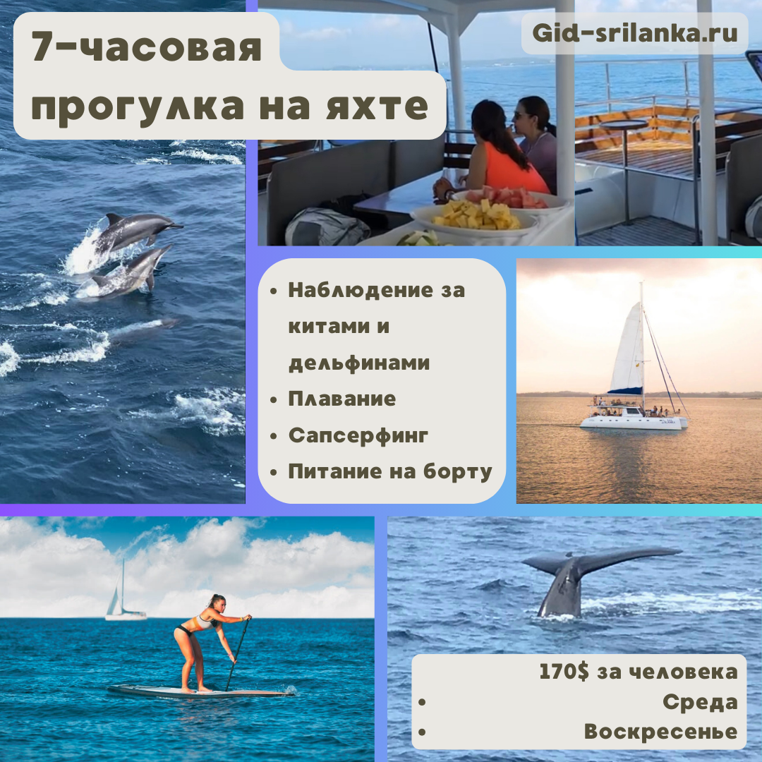 7-часовая прогулка на Яхте, 1 день