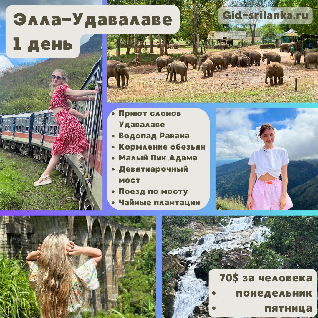 Фото к Элла, 1 день