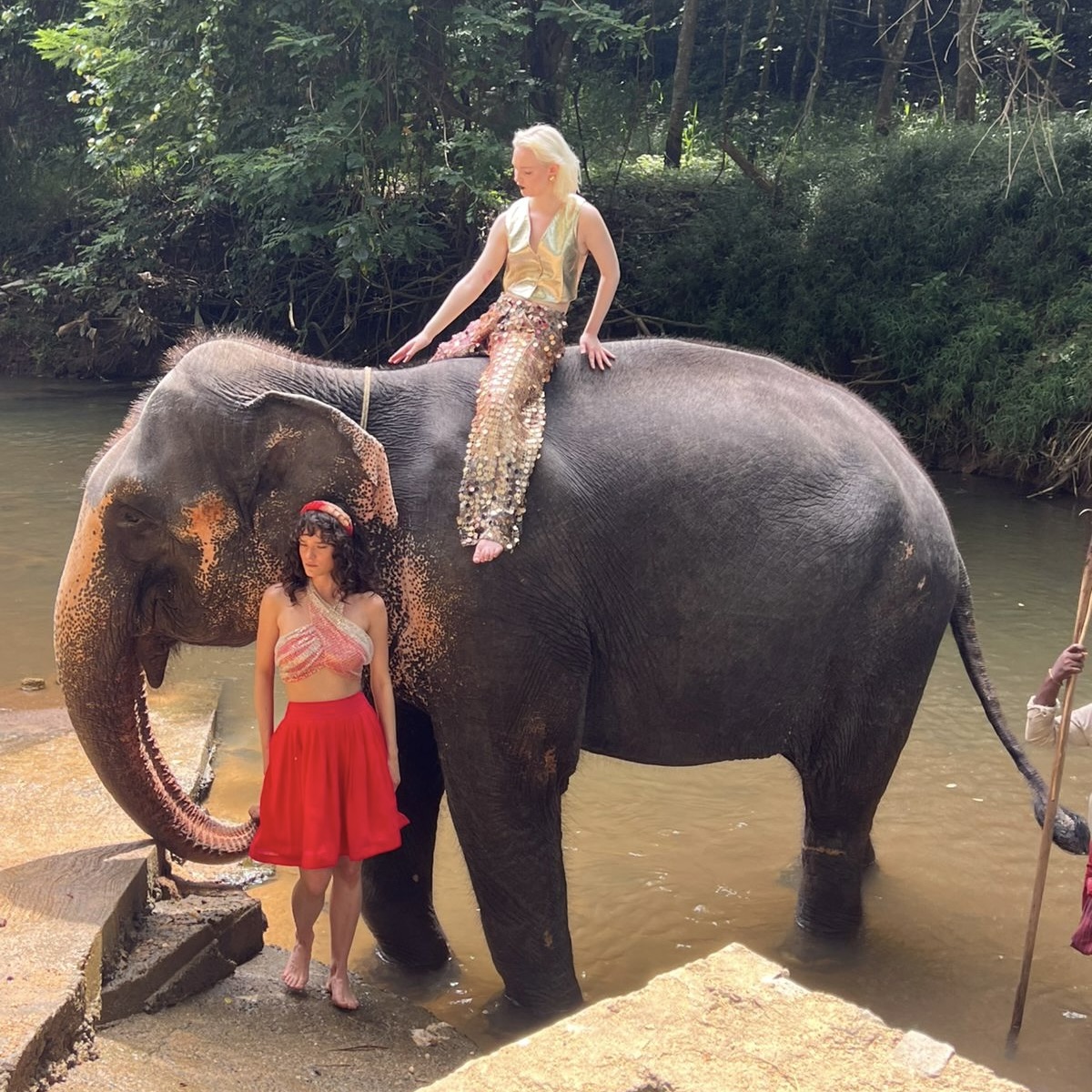 Фото к Экскурсии Канди - Нувара Элия, 2 дня