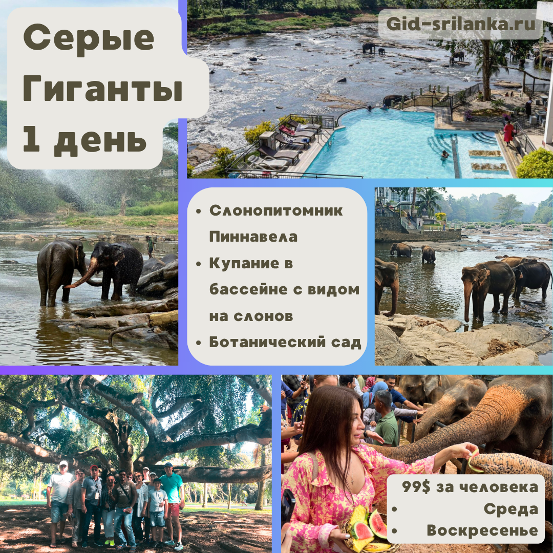 Фото к Серые Гиганты, 1 день