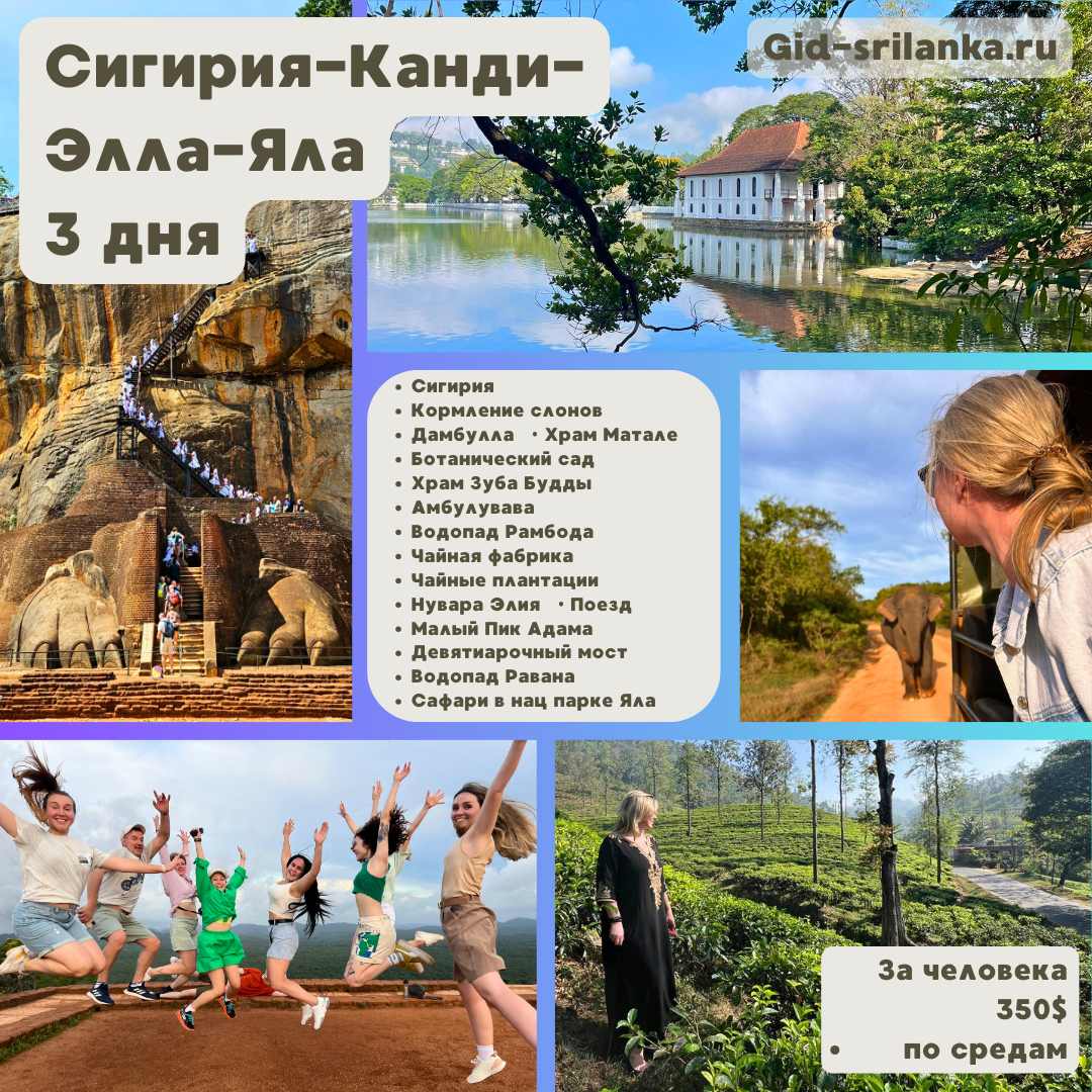 Фото к Сигирия - Канди - Элла, Яла. 3 дня