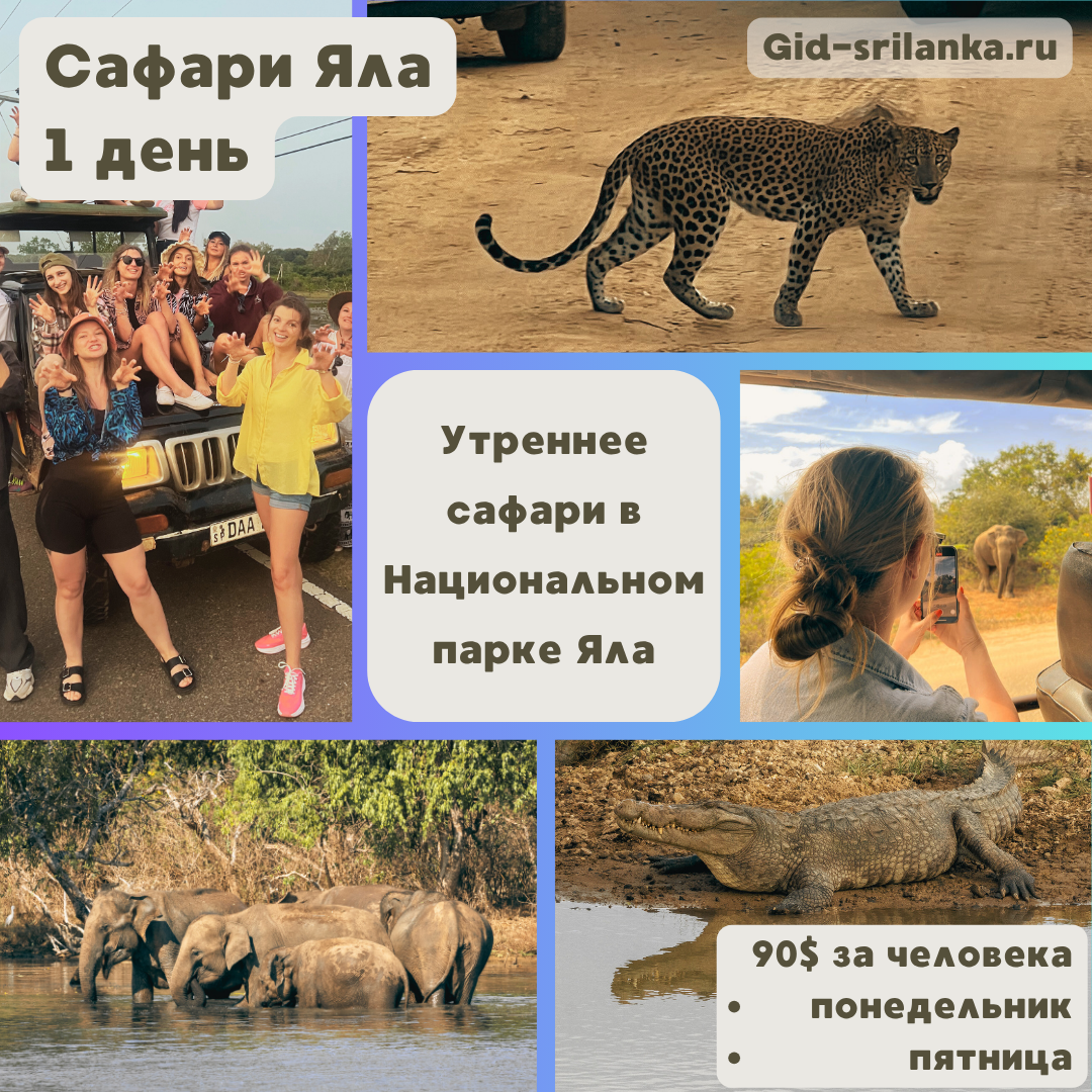 Сафари на джипах в Нац. парке Яла, 1 день